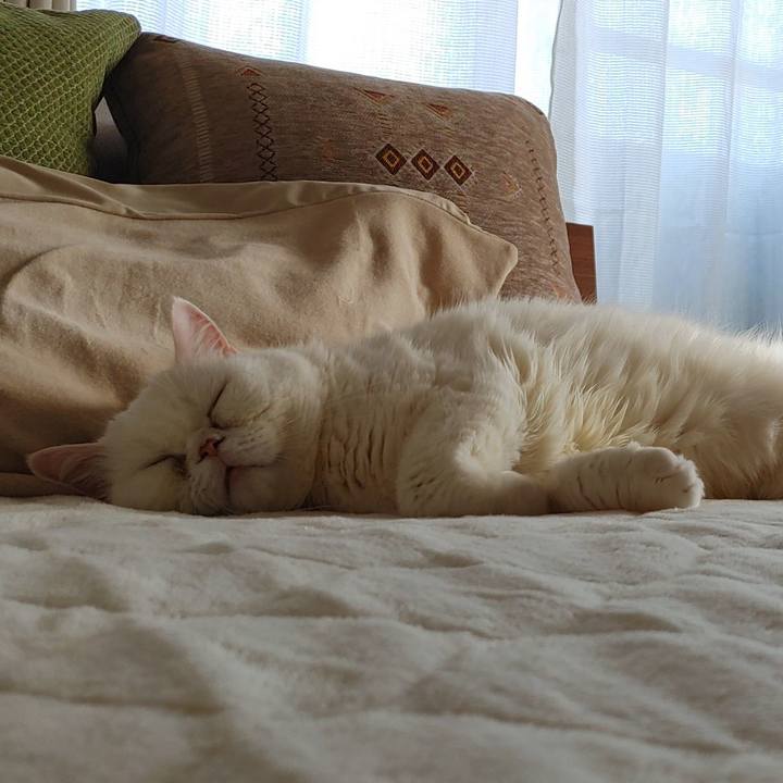 912ad180 a7e3 4ce6 9178 aad9df408946 1681021479250