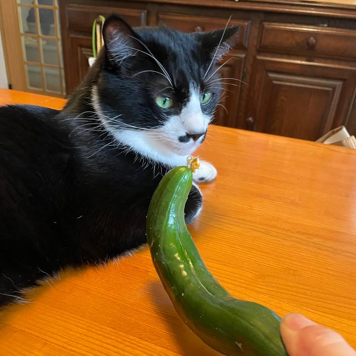 912ad825 7b79 4498 b3c4 a4f5cb302393 1656550403363