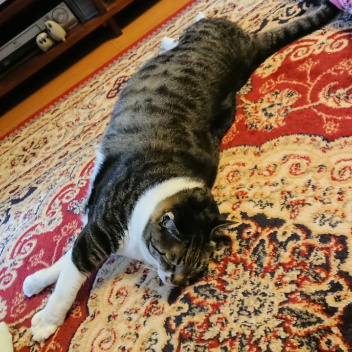 912b1146 27b7 4110 a817 5c1c2a36b9d6 1522190495677