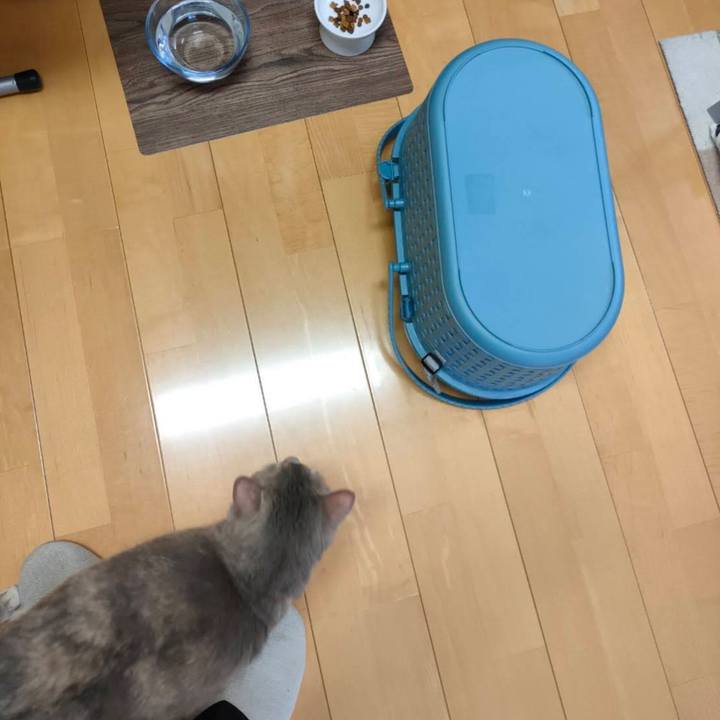 912b2b86 0ac8 44ff 878d 94ff5083874e 1700013769602