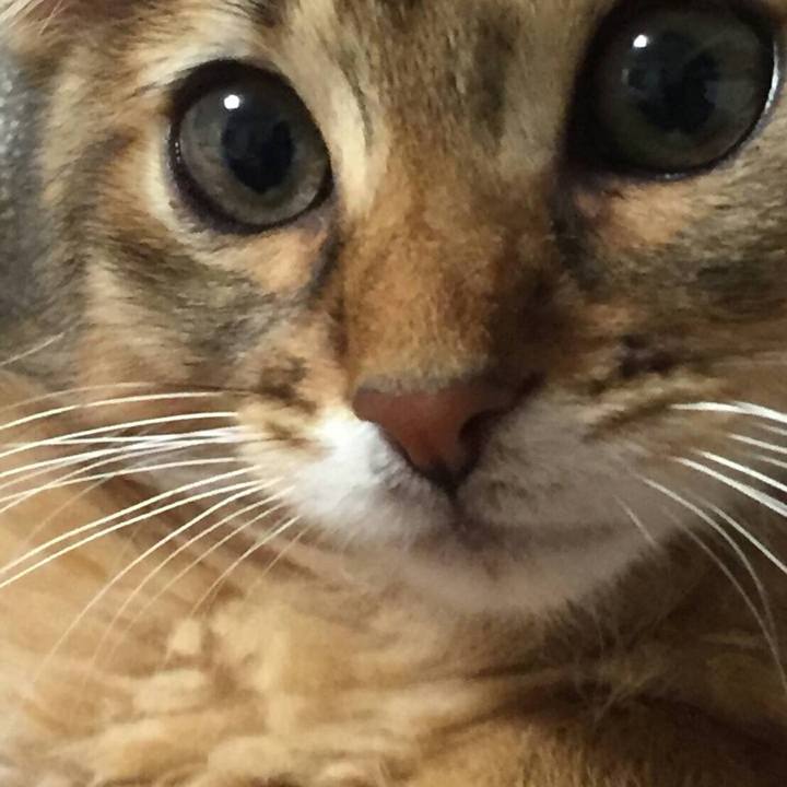 912b2ce9 012a 4a21 9897 2971f3f676e0 1564289413217