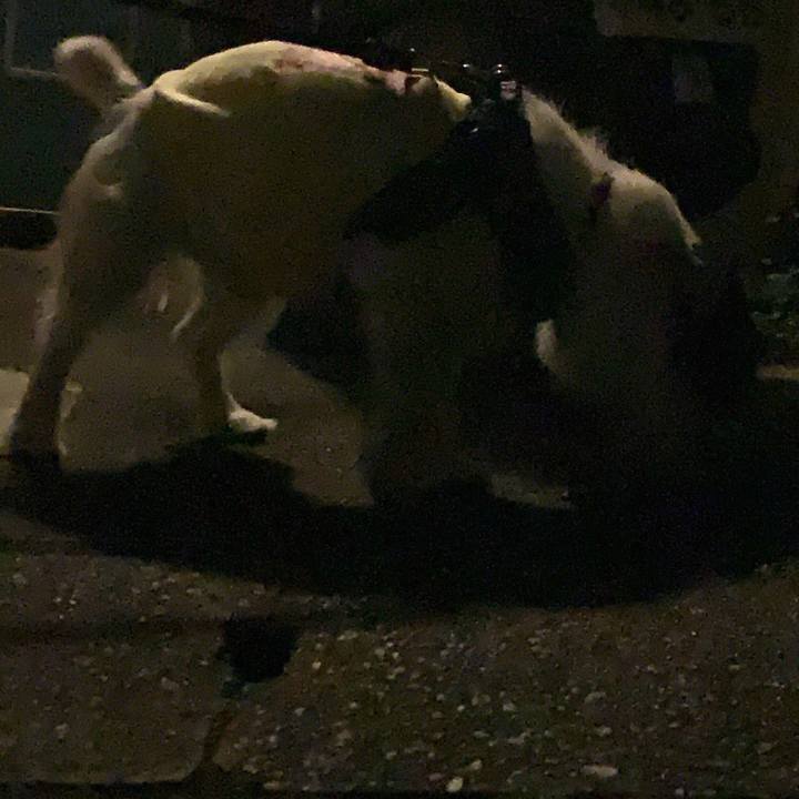 912b3193 3a43 4912 8231 74ab12d3e239 1685969883987