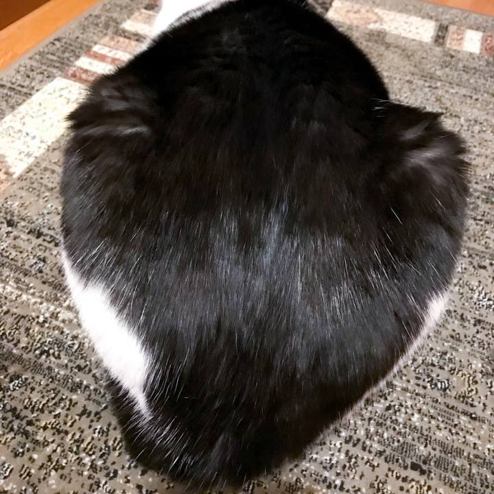 912b4dad 3b54 48fd a107 c3a8577be113 1514385196452