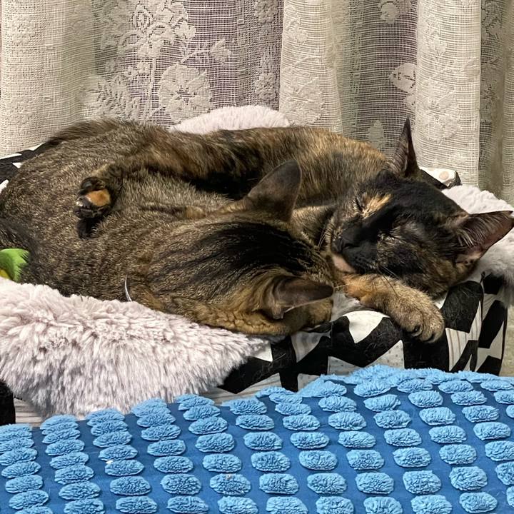 912b5bbe 48c5 4a30 82e9 c49b8836ac7a 1736949233903