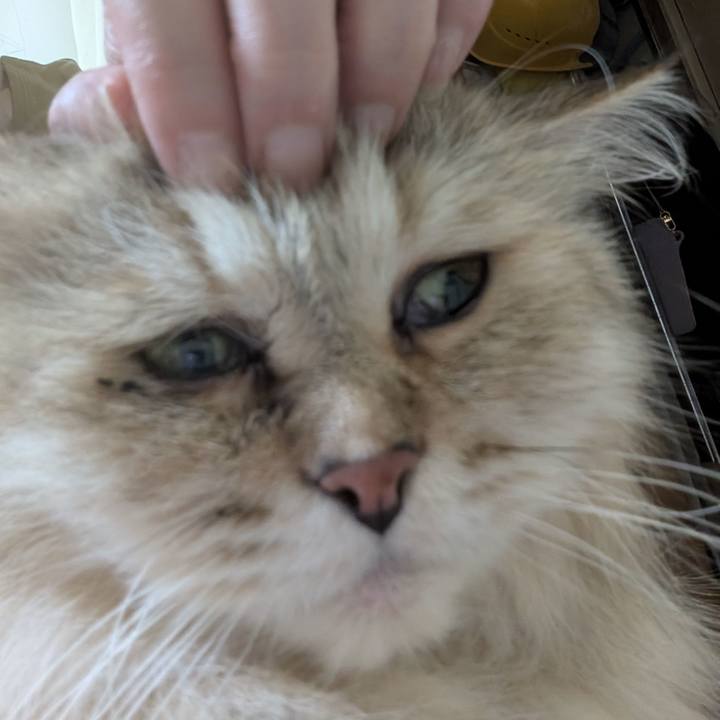 912b6247 305d 4580 ad03 37e4cd302508 1756129873869