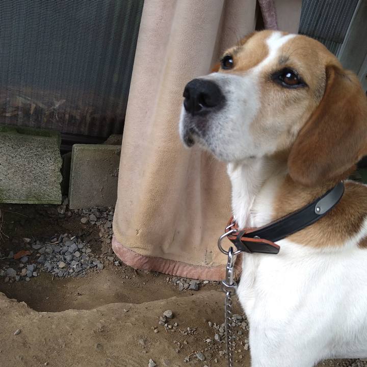 912b7b2d 80e5 40ab 82a1 cccb01f37daa 1658223251362