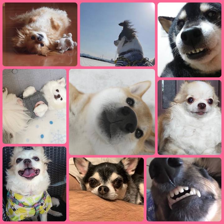 912b819c fb14 41cd a2db 2cadb4e55fd5 1676772556077