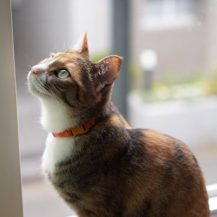 912b98b0 0d4e 4fba af11 8fb78aa6b7c2 1622605136286