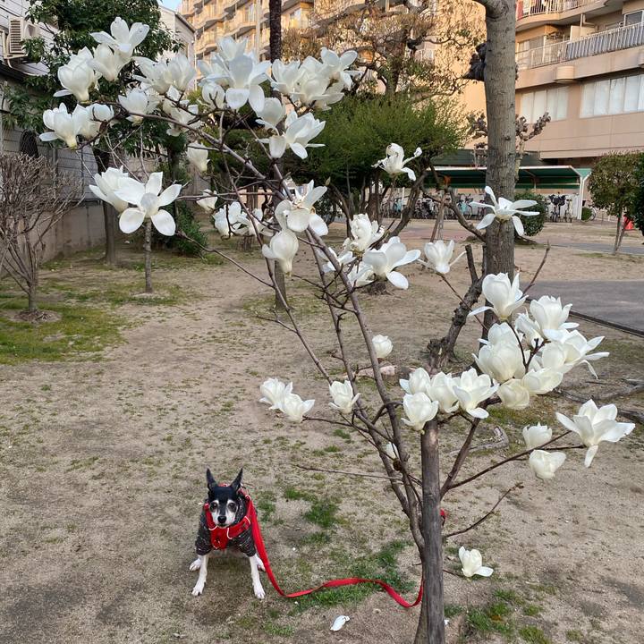 912b9939 5cee 4e3d 92af cd848a535772 1615932433099