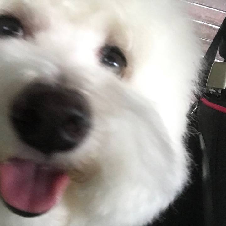 912b9b7f 43e9 45ee a44c b0f485dbbe2c 1540794393498