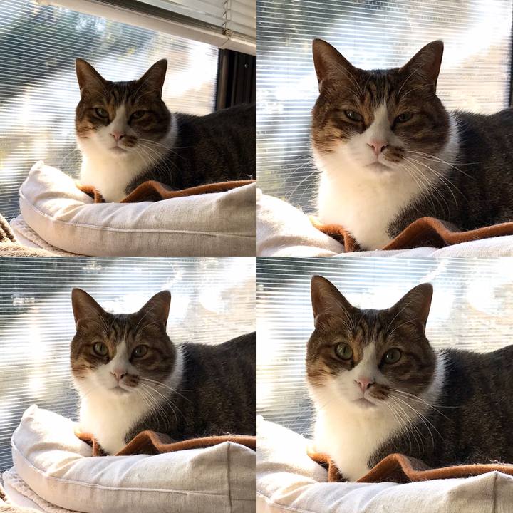 912bd013 a836 4089 b8c0 233757df9dac 1581433257088