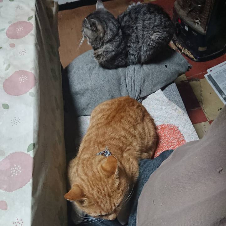 912be33e e04d 45aa 8975 d8765ad30612 1575579181851