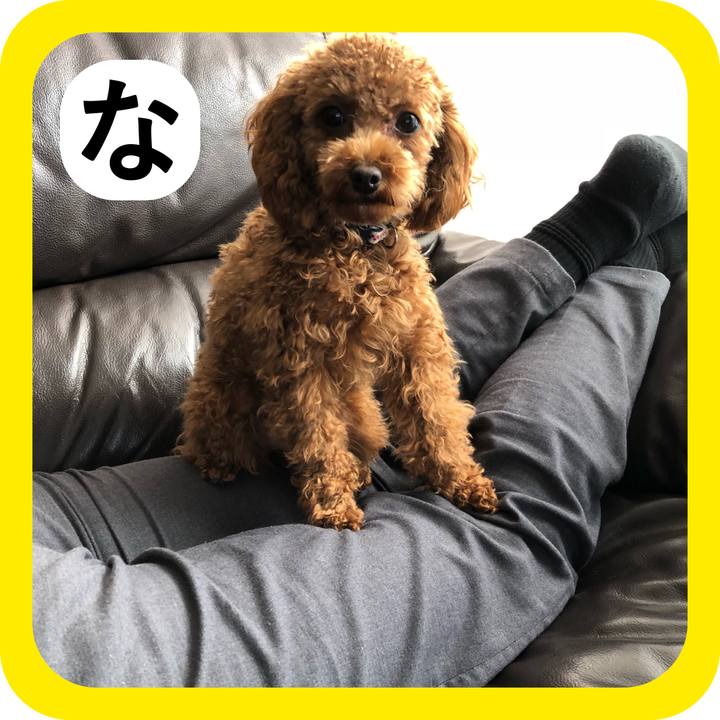 912be7fa f98b 445a ab1a 7f5d43213d2b 1514869351918