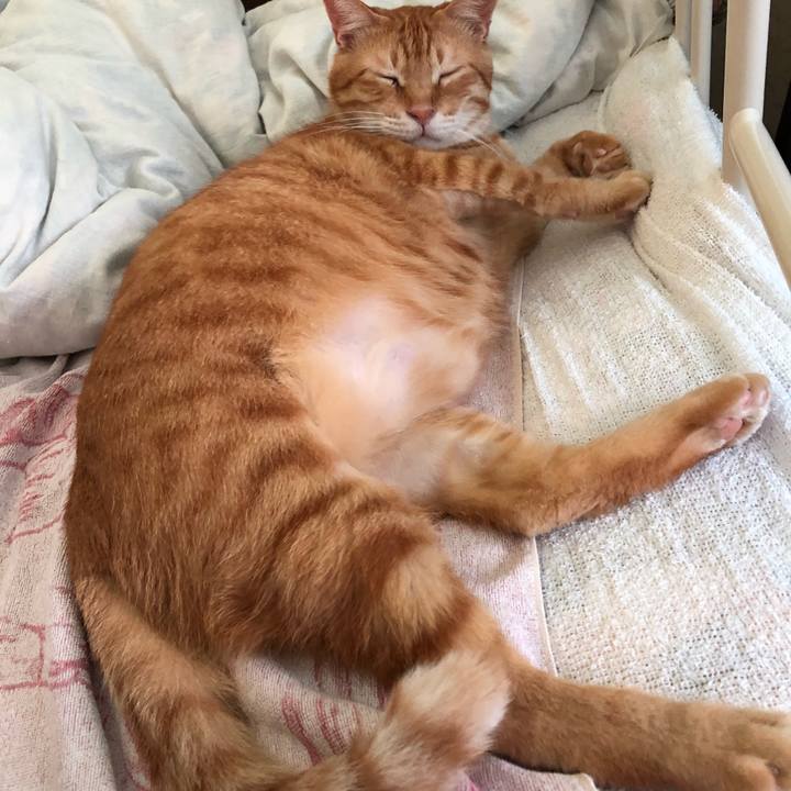 912c0e3b fff7 4763 97c1 716be00fb84e 1568526427167