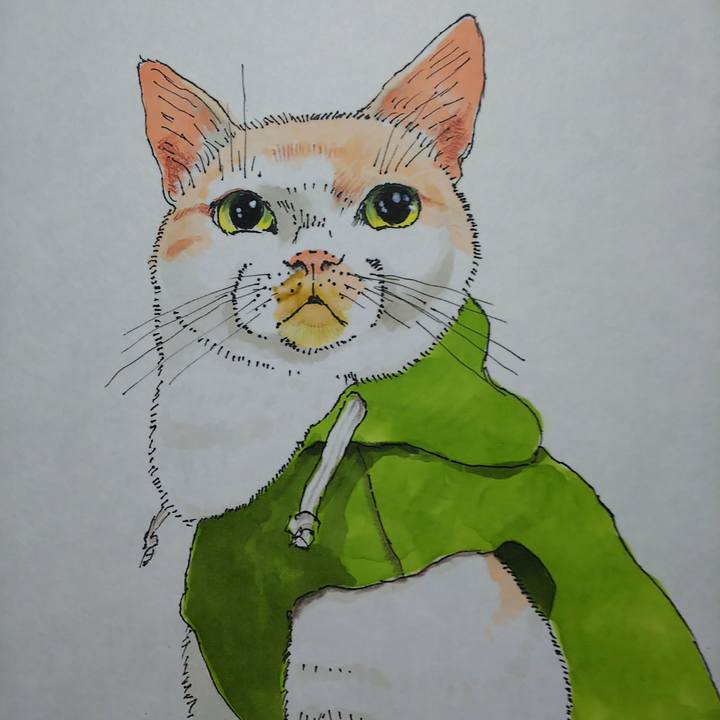 912c1b45 c814 4c54 83a2 156d07ec0a31 1526201211556