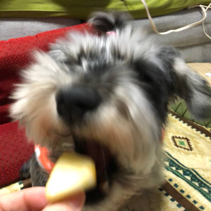 912c4fe1 421b 4ba9 9857 e16ed6d4a3b2 1644845022217