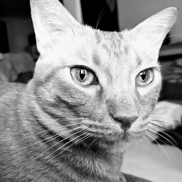 912c5d65 0ef6 4b93 abe5 ce9357a3e0cf 1638576843952