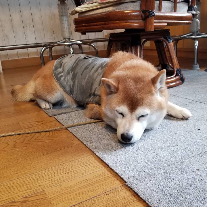 912c6911 be69 4eee 931e 338311ddeccf 1644541730704