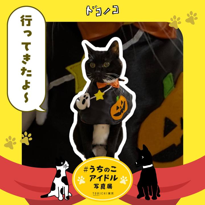 912cbf79 771b 49eb bbe4 55f34fc05a01 1761692383204