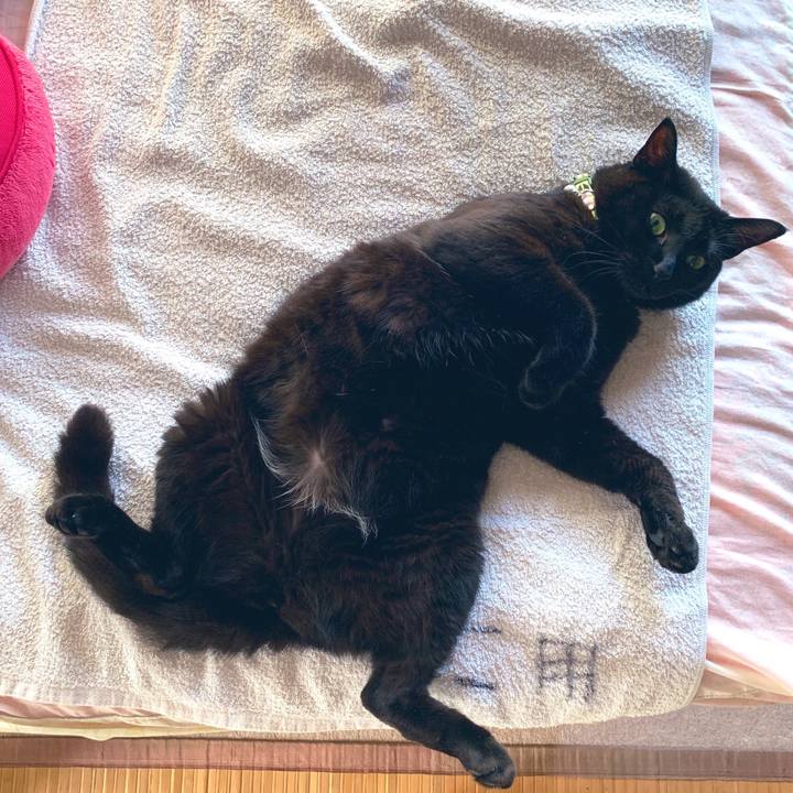 912d0024 3568 413f 888f 90edf9341353 1563370152842