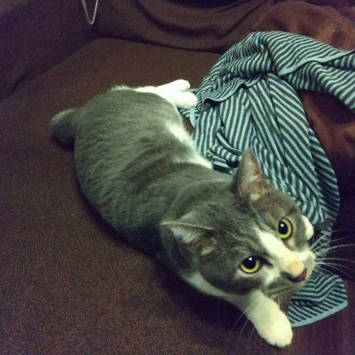 912d2465 0a23 47d5 b133 e80bba06c349 1628594785231