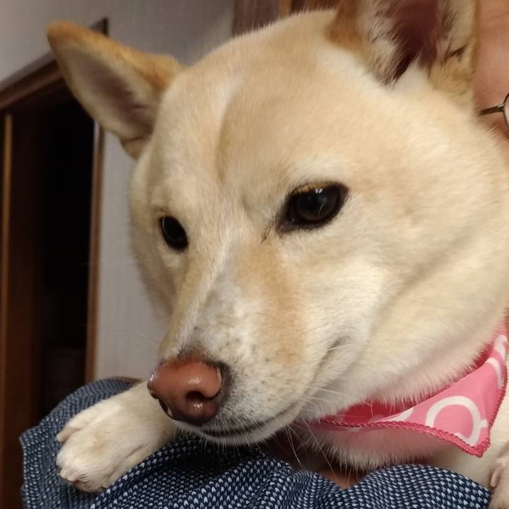 912d250d 2c88 47c4 b294 d2271658c69f 1539493624163