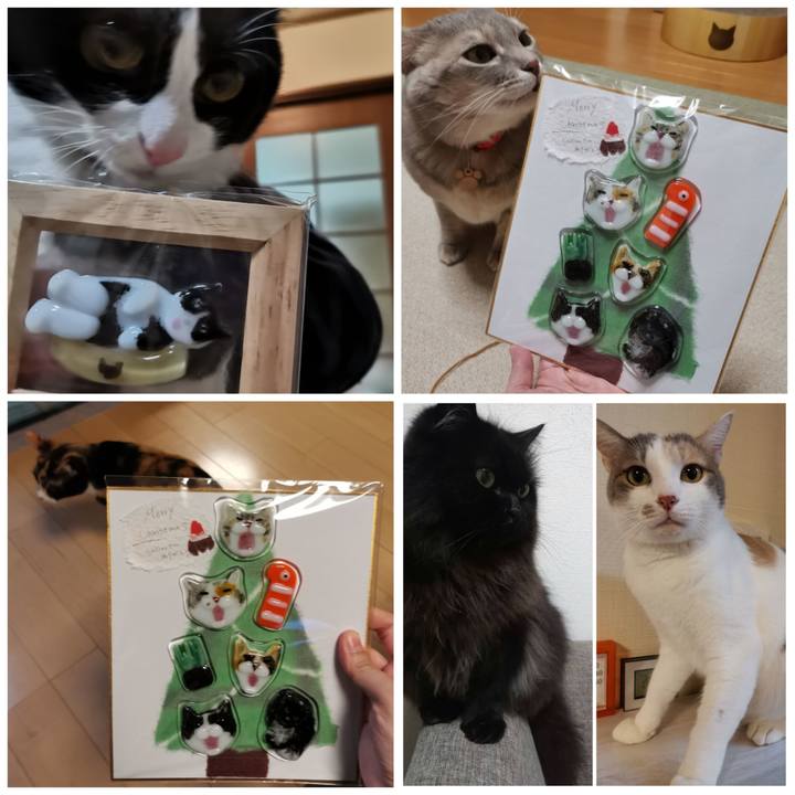 912d751e b4f4 4ee6 866e cb79e0c1edc1 1607518570582