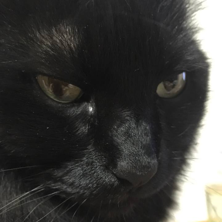 912db68f 57d0 4c57 a305 321a8ea7ae72 1528123213159