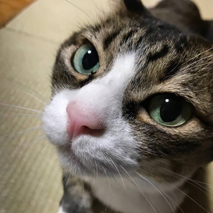 912dba7b c59d 46dd 96b6 07a7fedce6e7 1552136808814