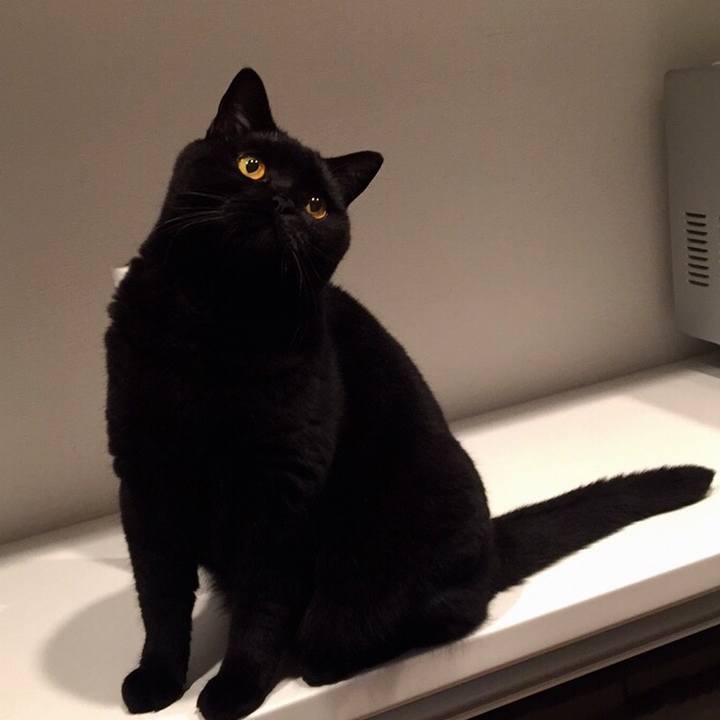 912e0be4 aae7 46ca 9477 0ac755dc05a4 1534515835803