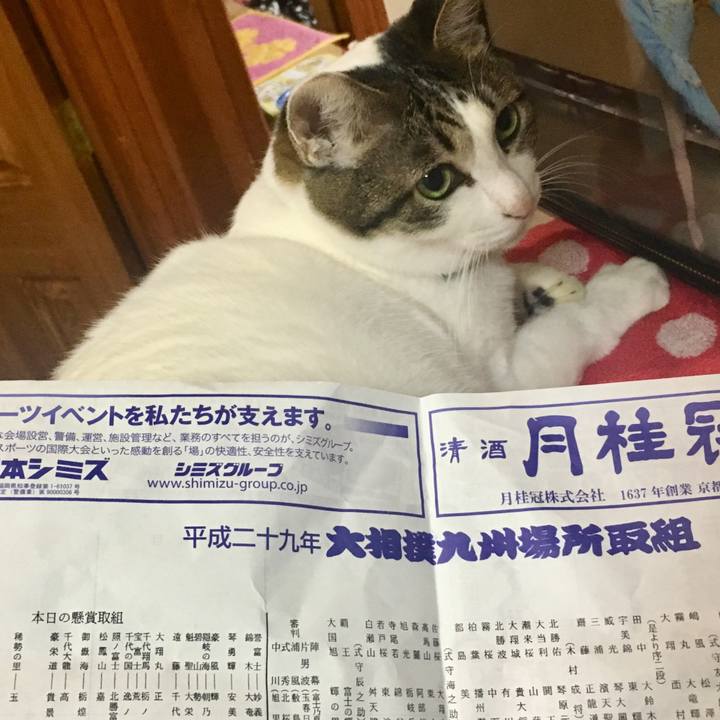 912e548c 574c 43bd b17e 90e06e6228f8 1510488007816