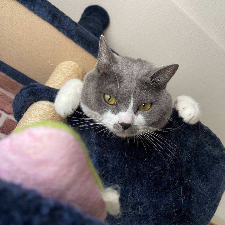 912e81aa 1e77 470f 999e 882544163b87 1665811193829