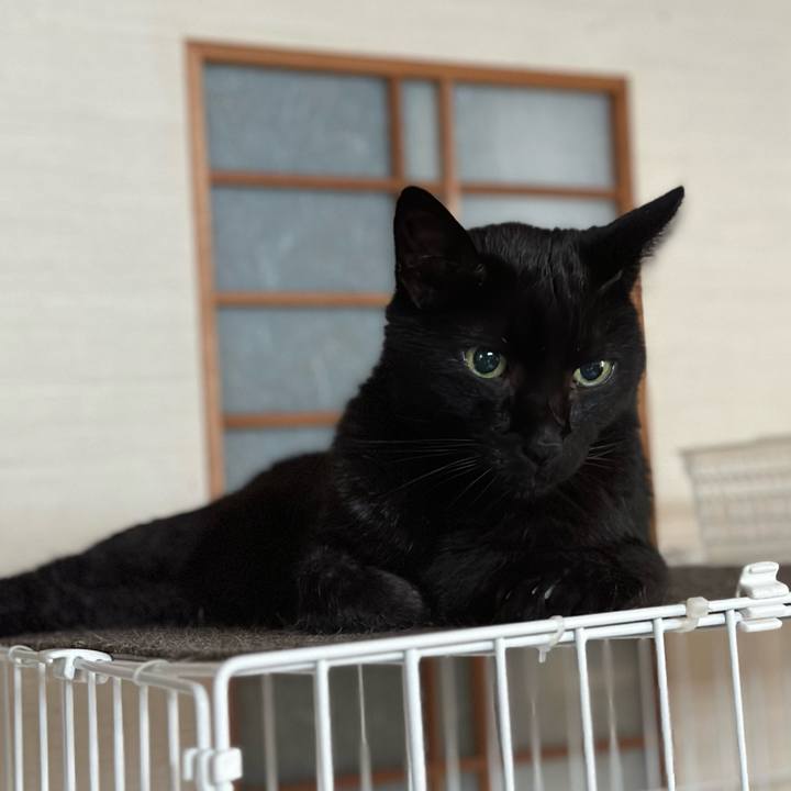 912e81bd bfdc 488d 9c80 6a9cd55b75b8 1690070969317