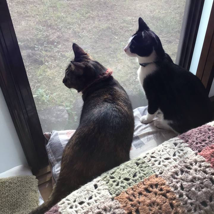 912e8bf0 1a00 4c75 a8b9 efc29b7497a8 1632990236061