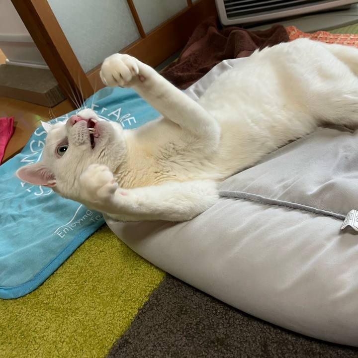 912efa03 571a 4863 b596 c5fa99ca5d80 1708242049523