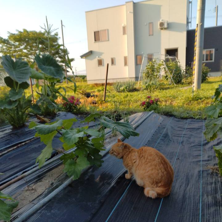 912f08e6 2a70 4ab8 b75e e5934da9694b 1689978540122