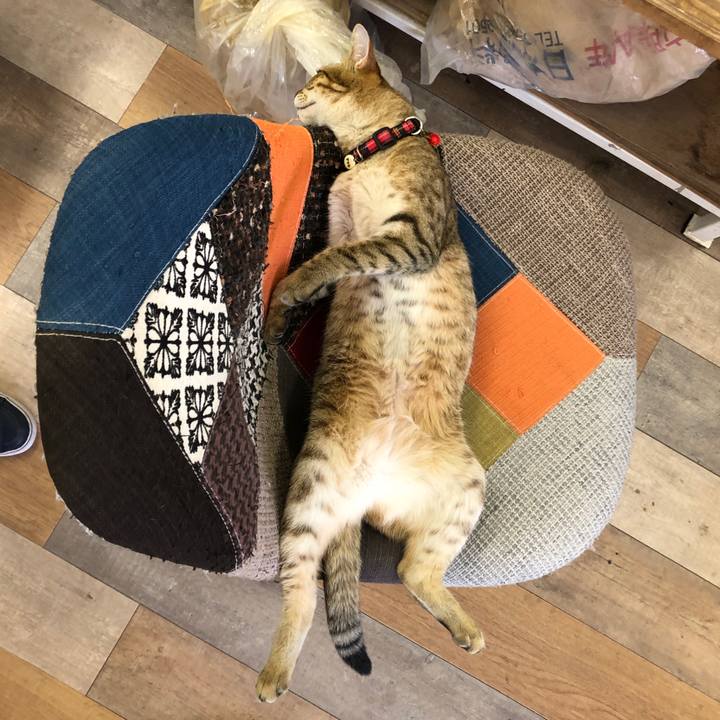 912f498a 2b1f 461e 9f8f 004df58a2ab2 1591509815539