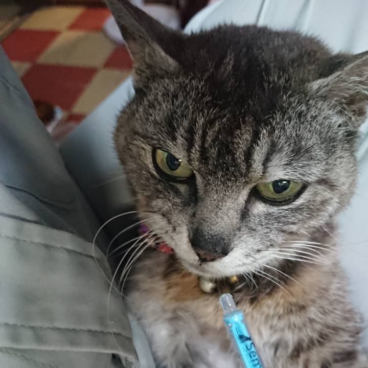 912f49a7 babe 4299 9b07 1f6edbbeb6cd 1593121081107