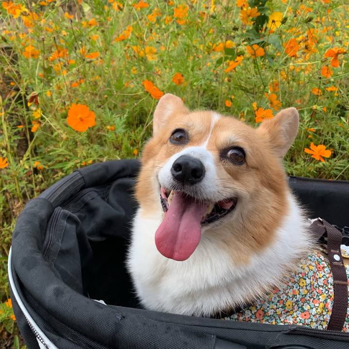 912f59ca cf64 40c1 a1f9 f335338336b0 1632789943588