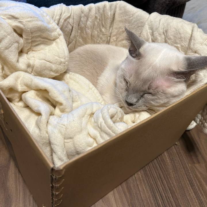 912f6693 5989 4c40 89af 580e2a0de0ca 1736754171071