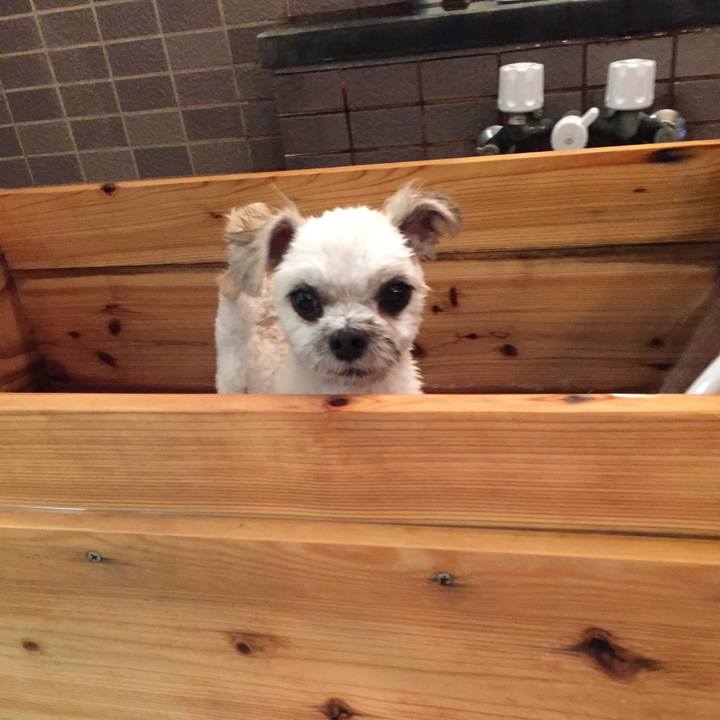 912f71d4 ca4b 4f5c 8334 f6d62c61bdc0 1564218103536