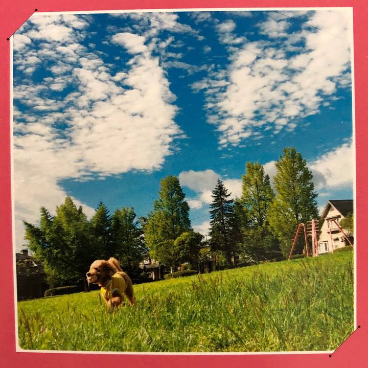 912f74b3 0033 4ecd b4f9 20dac335c1c5 1599018085806