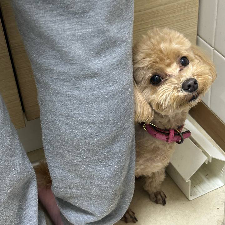 912fa93d da8d 4f30 baf6 94a6e4c81183 1739032162296