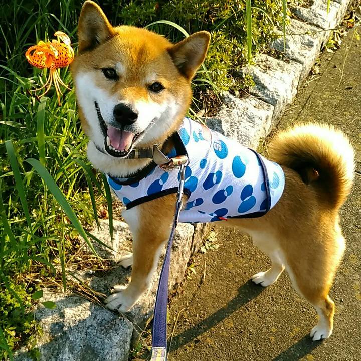 912fcbd6 2d57 41b6 b947 6b1fe0fb8473 1564477710323