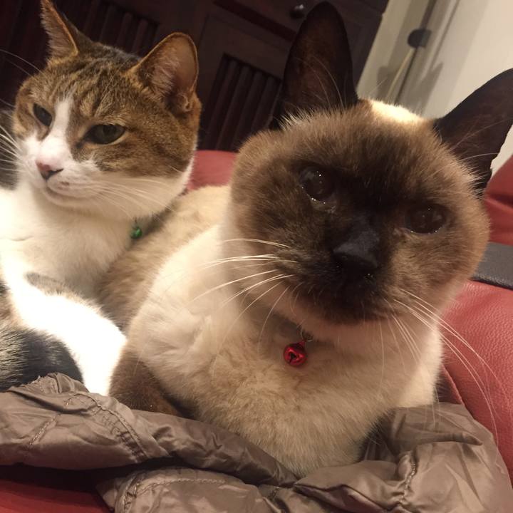 912fce01 767f 483d a977 fb67e2702dcd 1511275947619