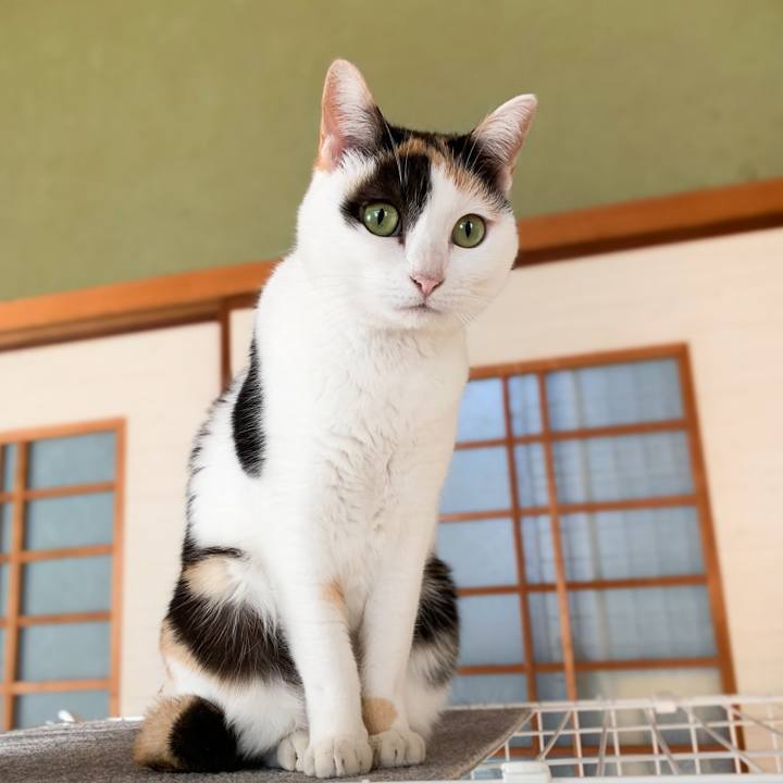 912fe6e8 0222 4da5 8c46 bd4784f334f8 1578796085395