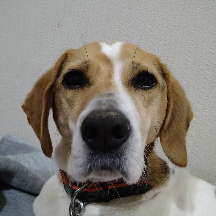 912ff6d7 300f 43b7 93bc 84853d26701f 1618739773483