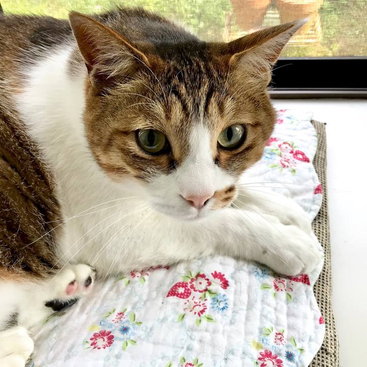 912ffd57 5d0c 4167 986a edf1c30109ac 1561301470328