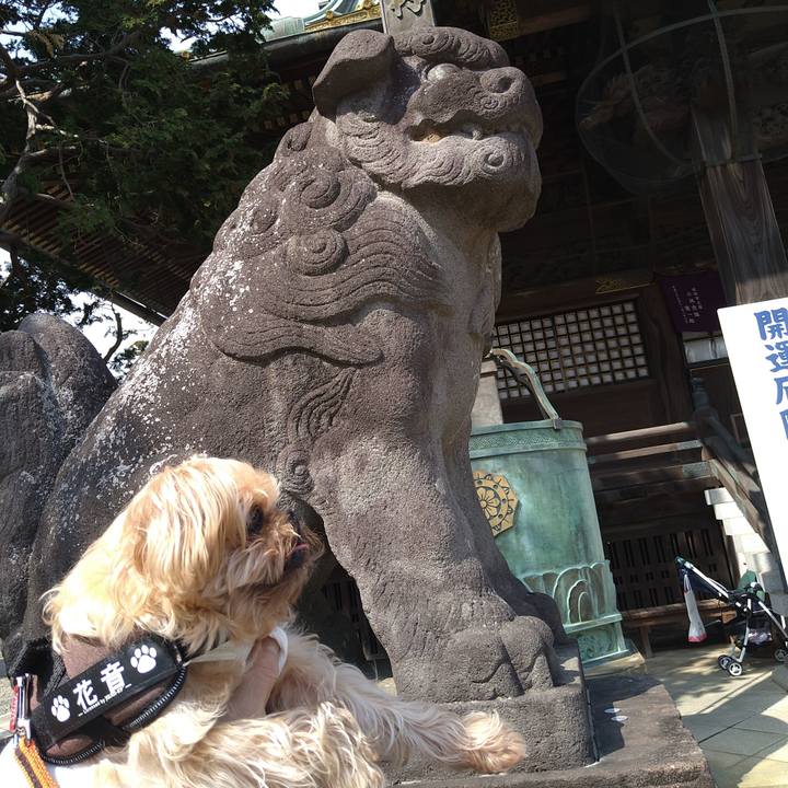 9130003e ce6c 48a4 9fff 9e4b6a4f2767 1616922166302