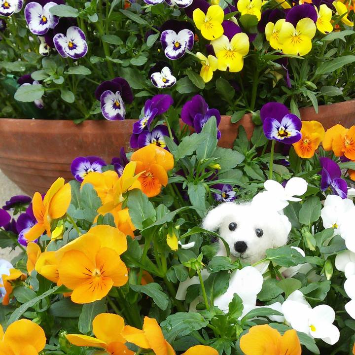 91300b29 429d 403f ba54 15928a751419 1522892419440